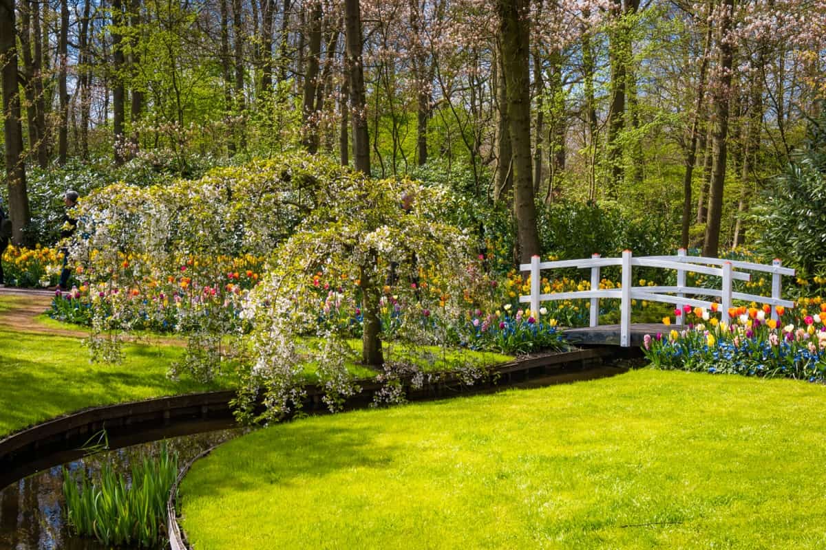 12 DIY Garden Landscaping Ideas