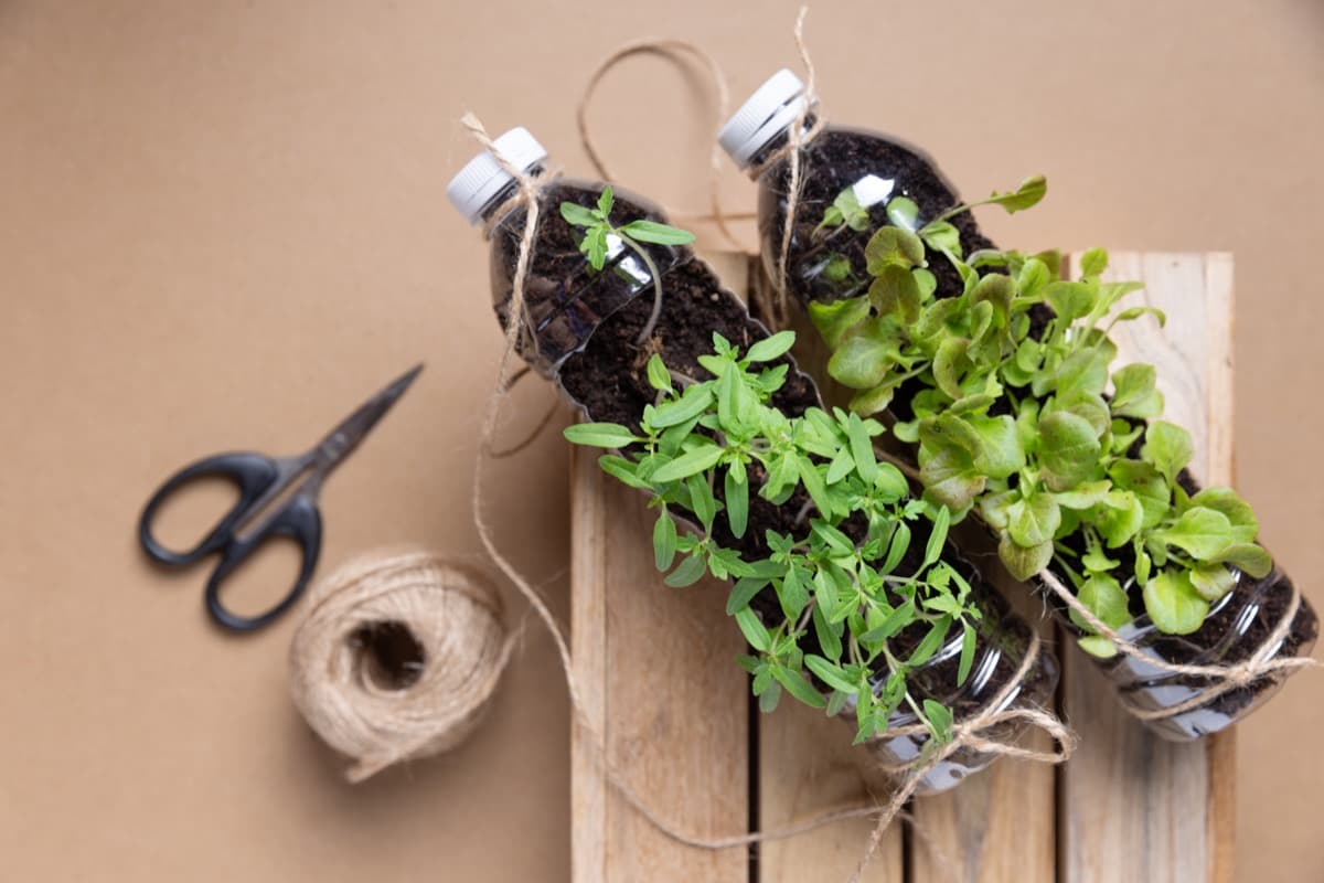 DIY Garden Ideas from Recycled Materials