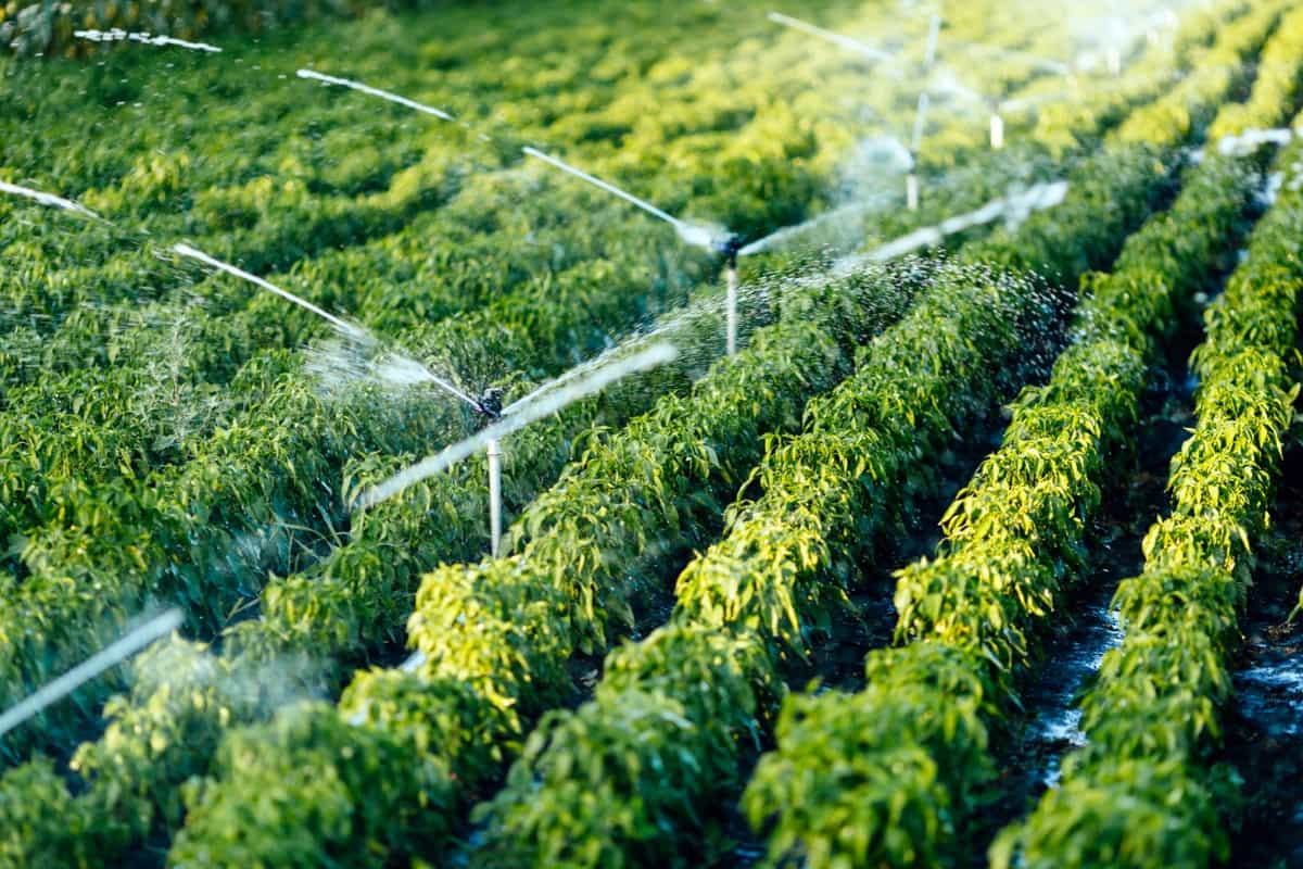 Irrigation Technology for Farming