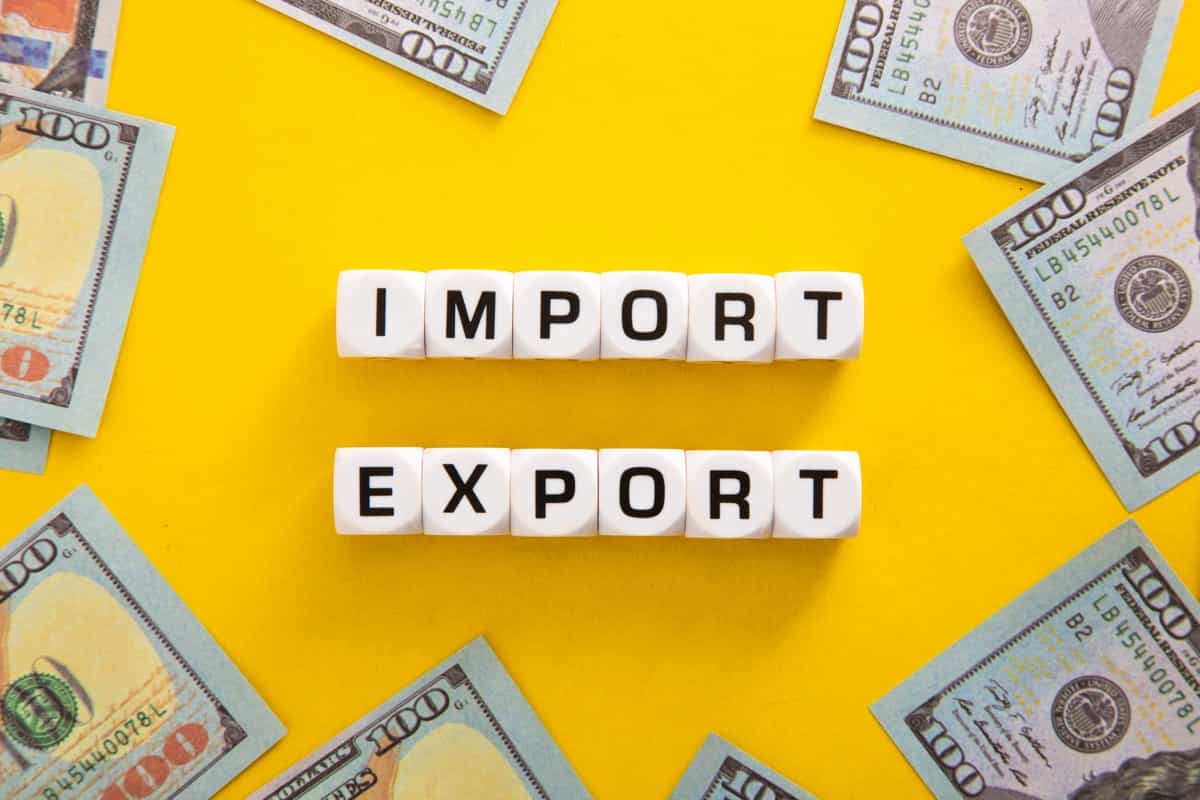 Import Export Logo