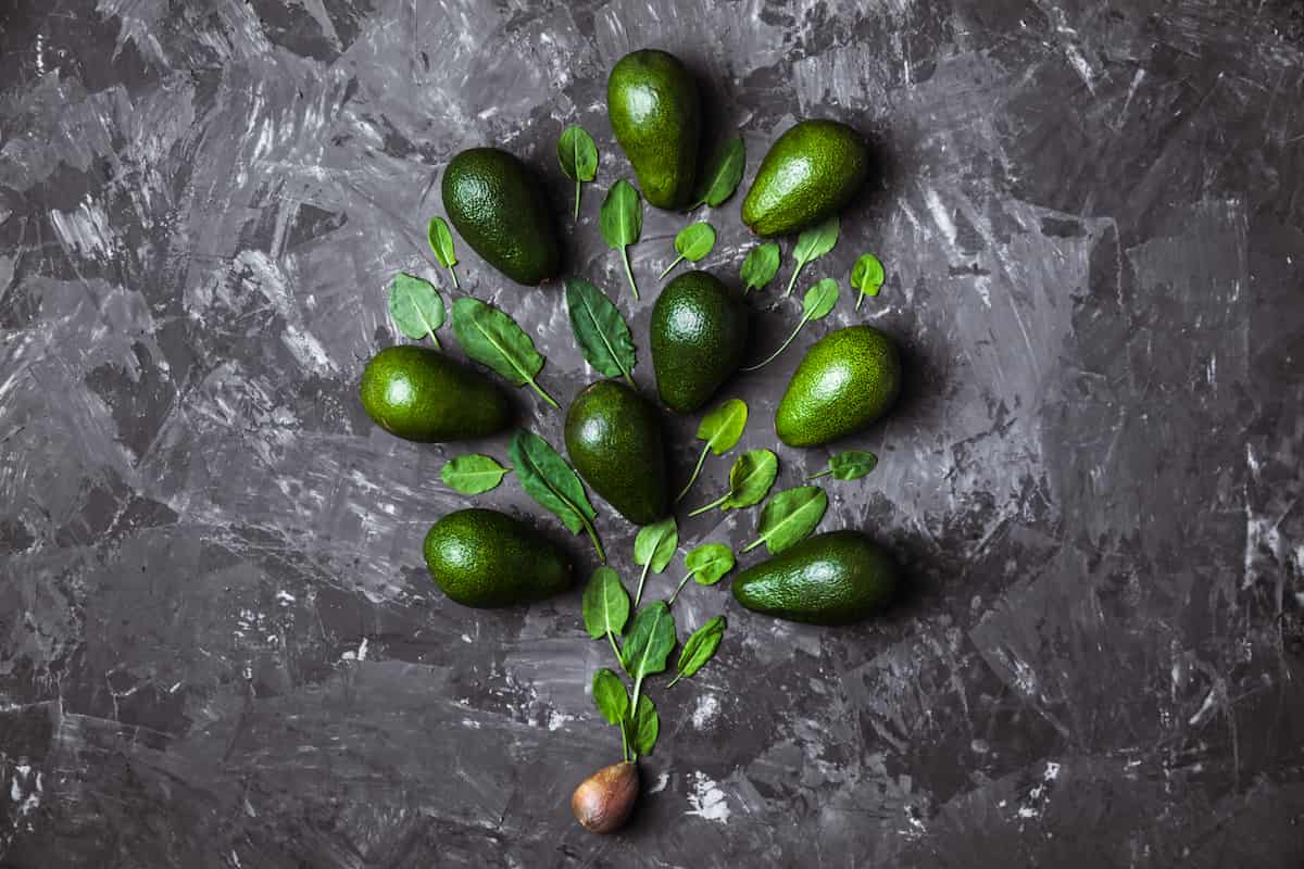 How to Grow Avocado Organically