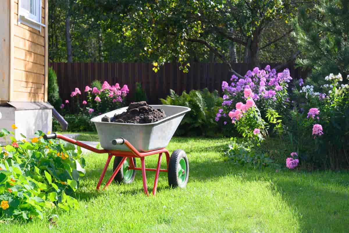 How to make compost from grass clippings
