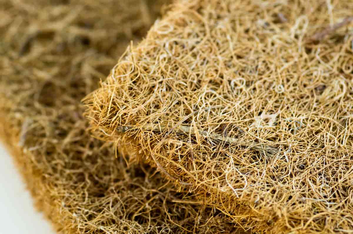 Coconut Coir Pressed at the Factory