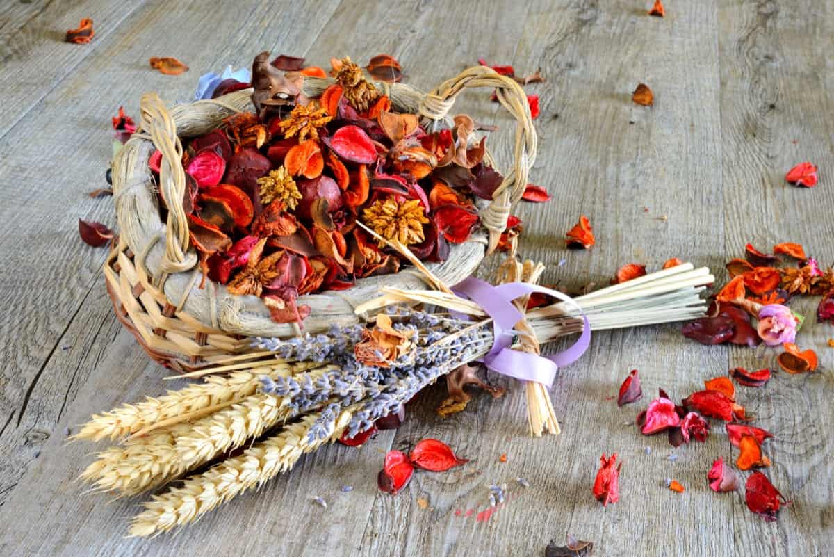 How to Start a Dried Flower Business