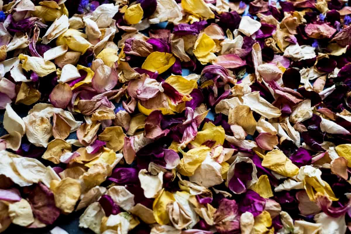 Dried Flower Business