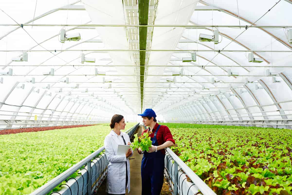 How to Start an Agriculture Consulting Business