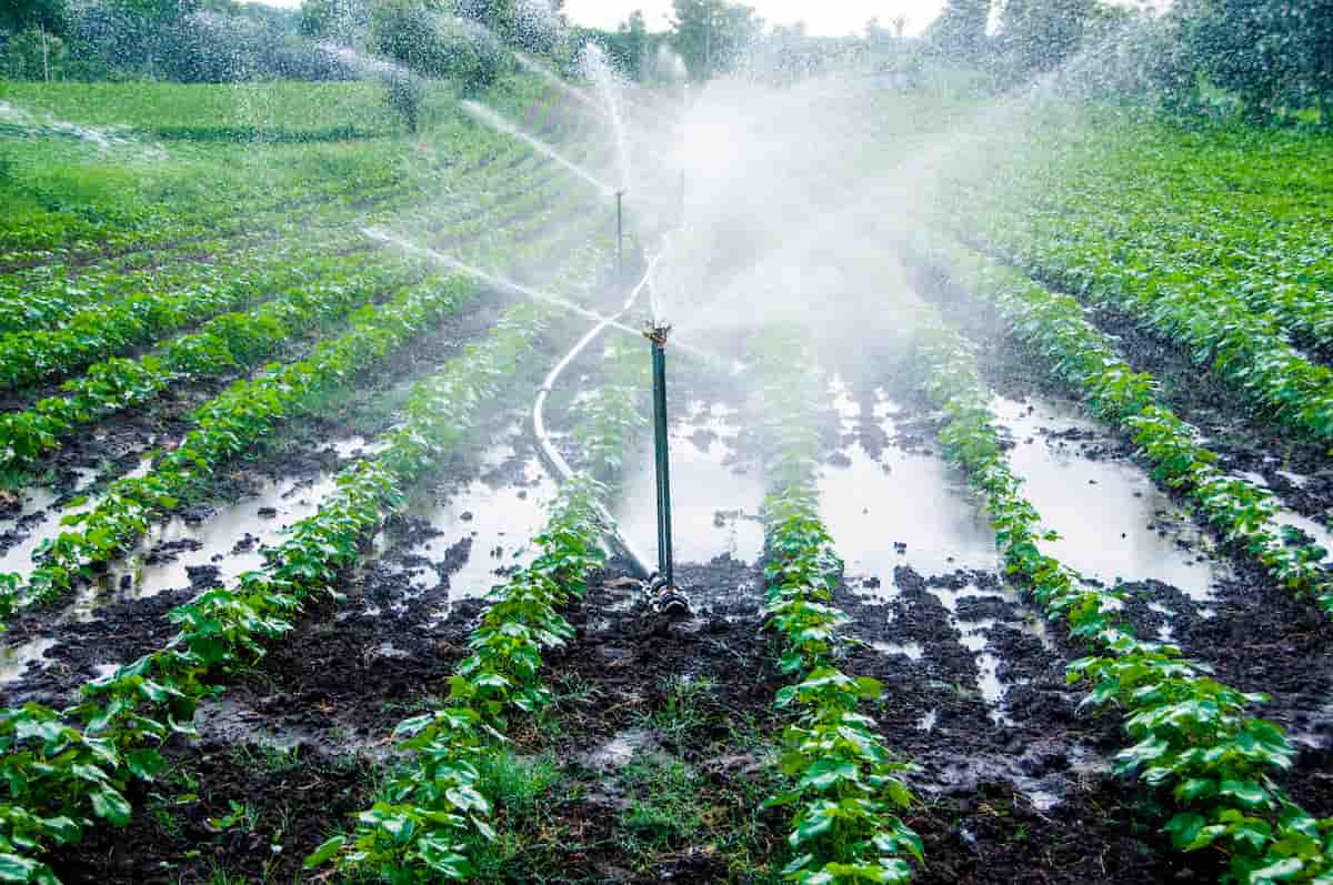 Automatic Sprinkler Irrigation System