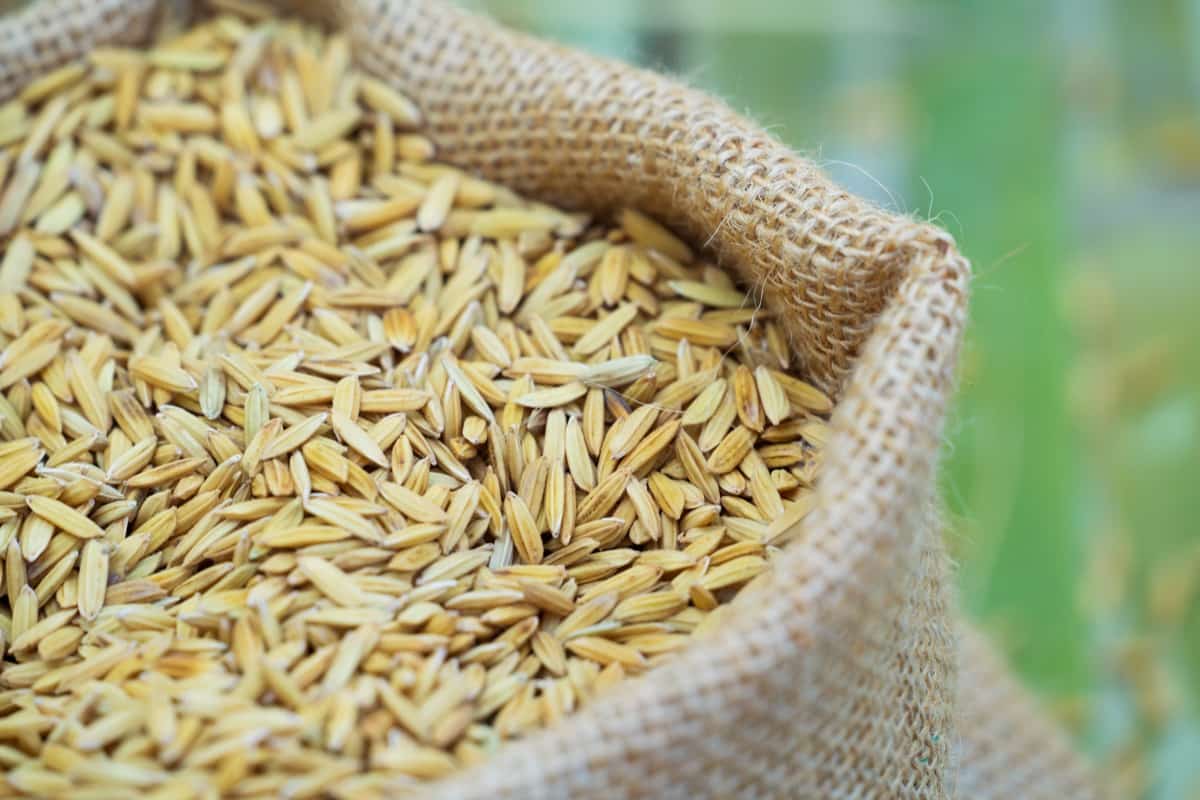 How to Start a Rice Mill Business in India