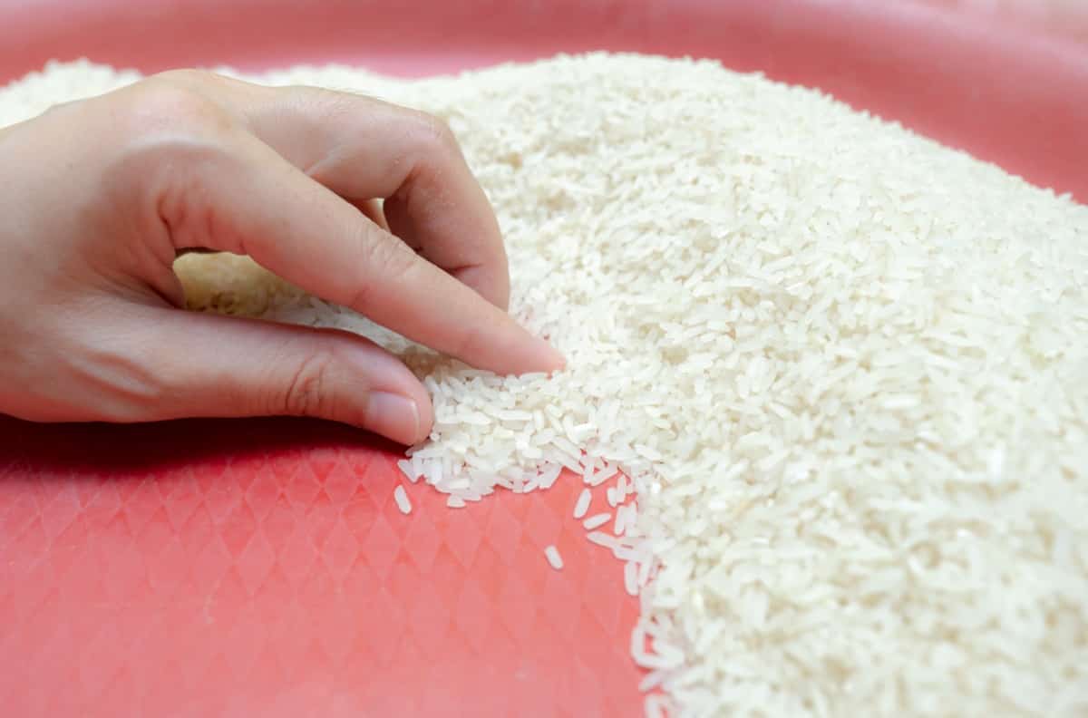 Rice Quality Check
