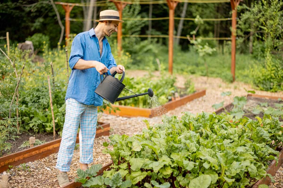 9 Sustainable Gardening Ideas