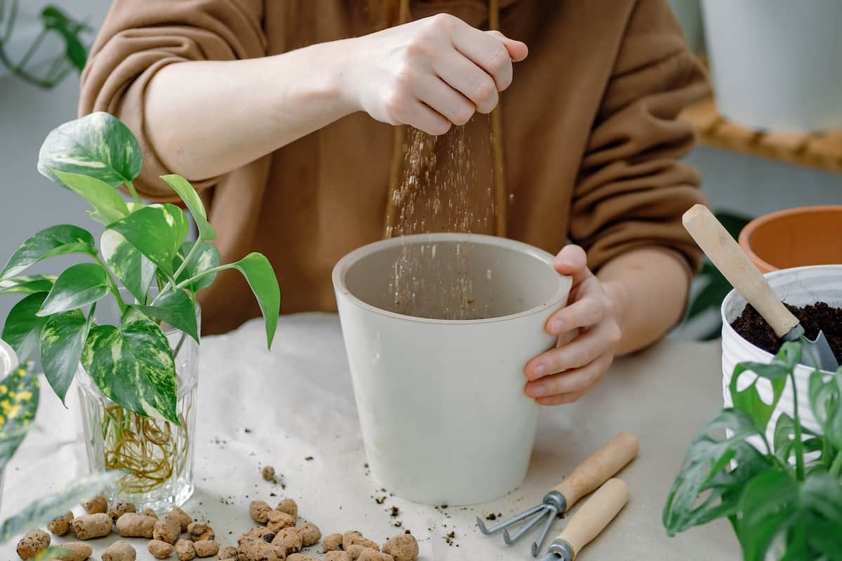 Filling a Flowerpot with Vermiculite