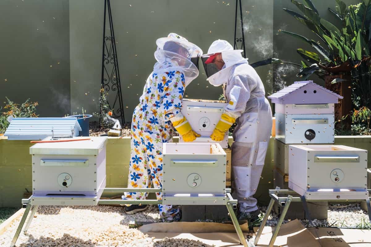 Apiculture/Beekeeping Success Story