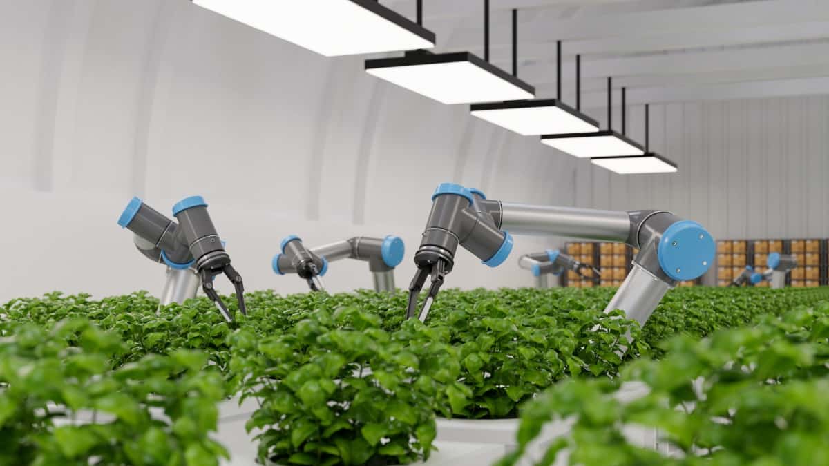 Sensors in Greenhouse Farming