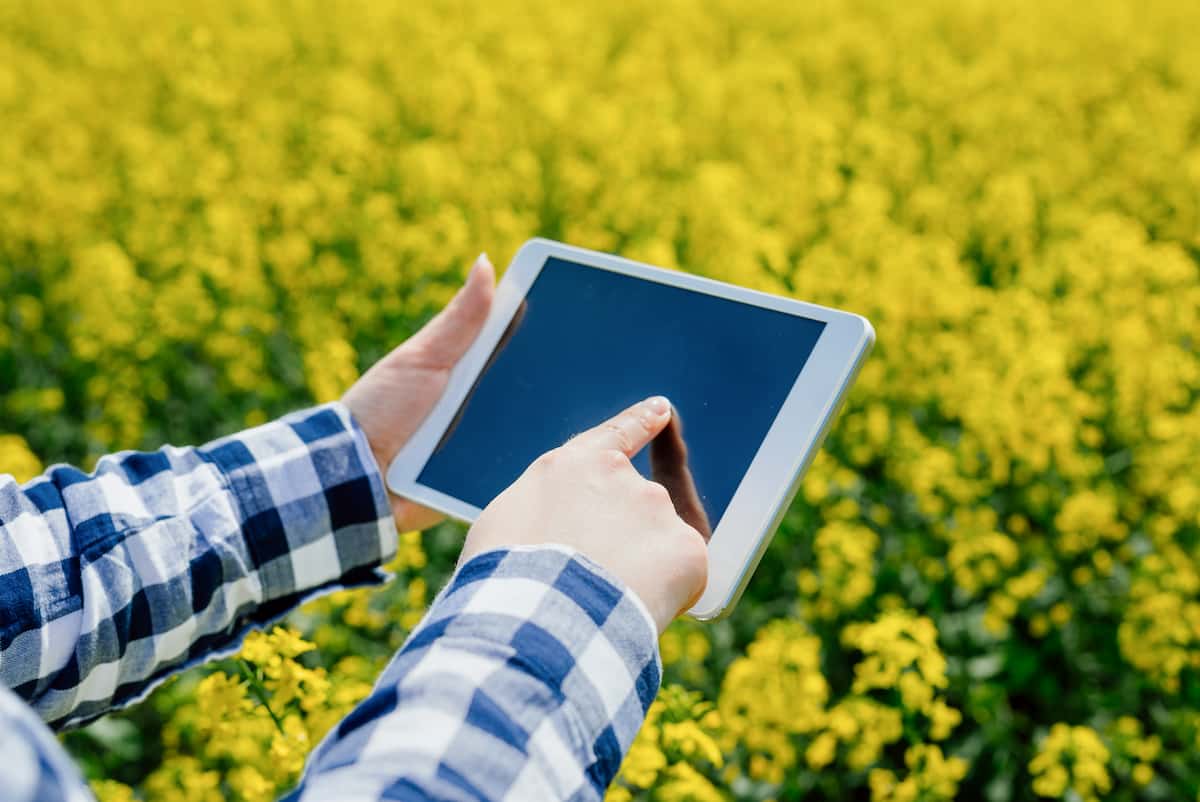 Farmer Using Tablet for Examining Crops