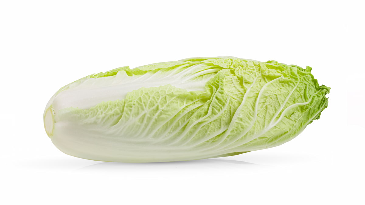 How To Grow Chinese Cabbage A Step By Step Planting Guide