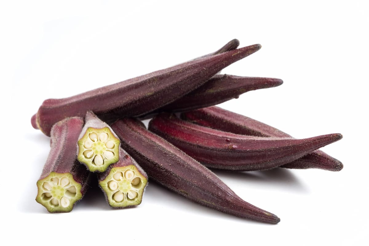 How to Grow  Red Burgundy Okra from Seed