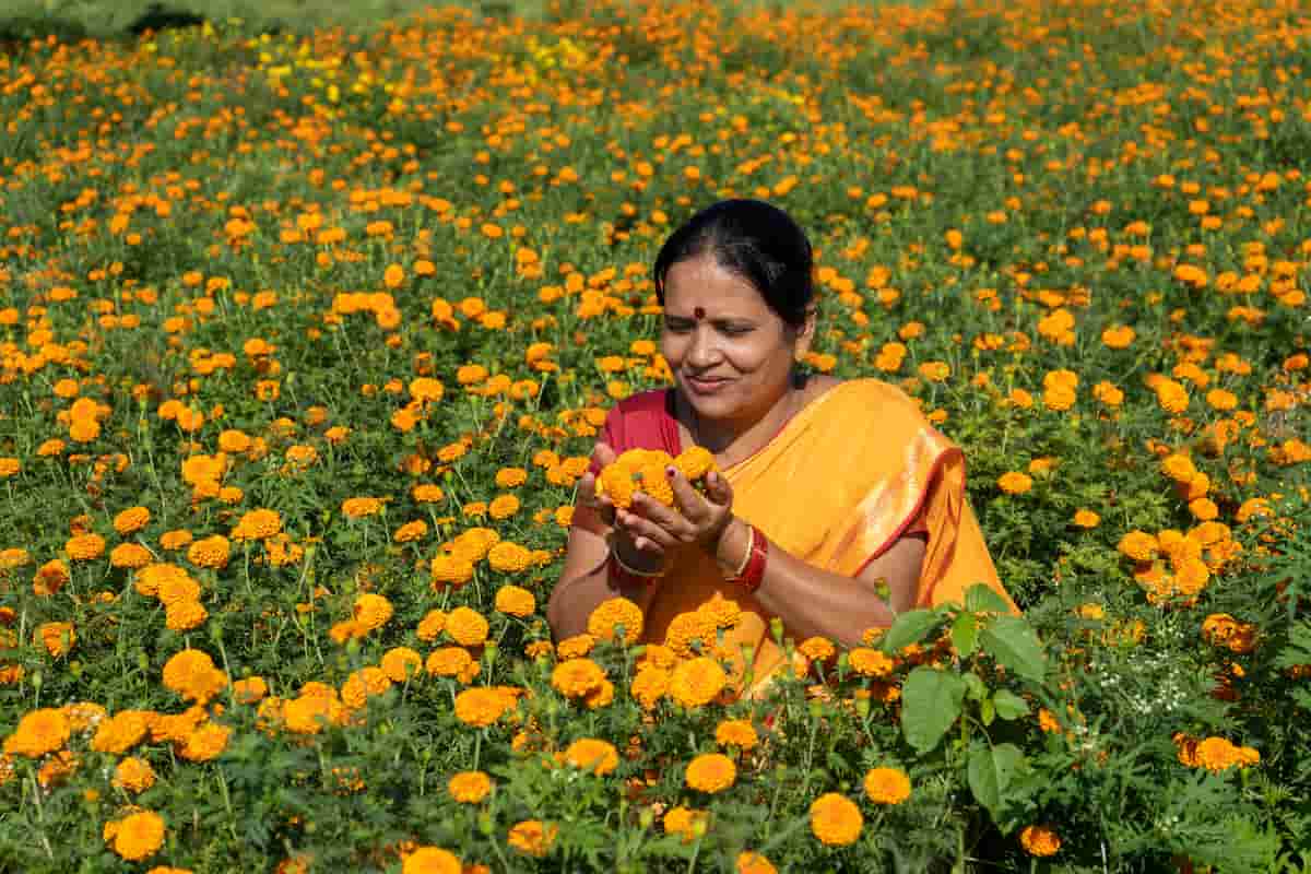 How to Start Flower Farming from Scratch