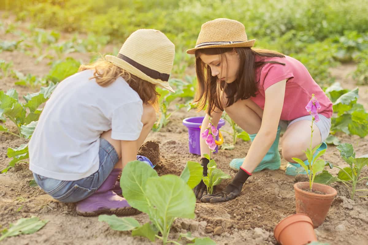 How to Start Gardening with Kids