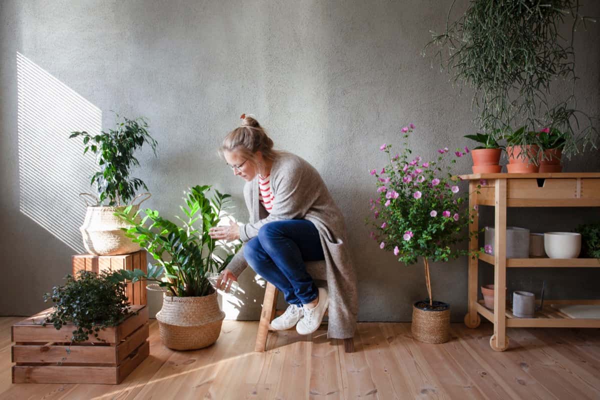 Indoor Pot Gardening