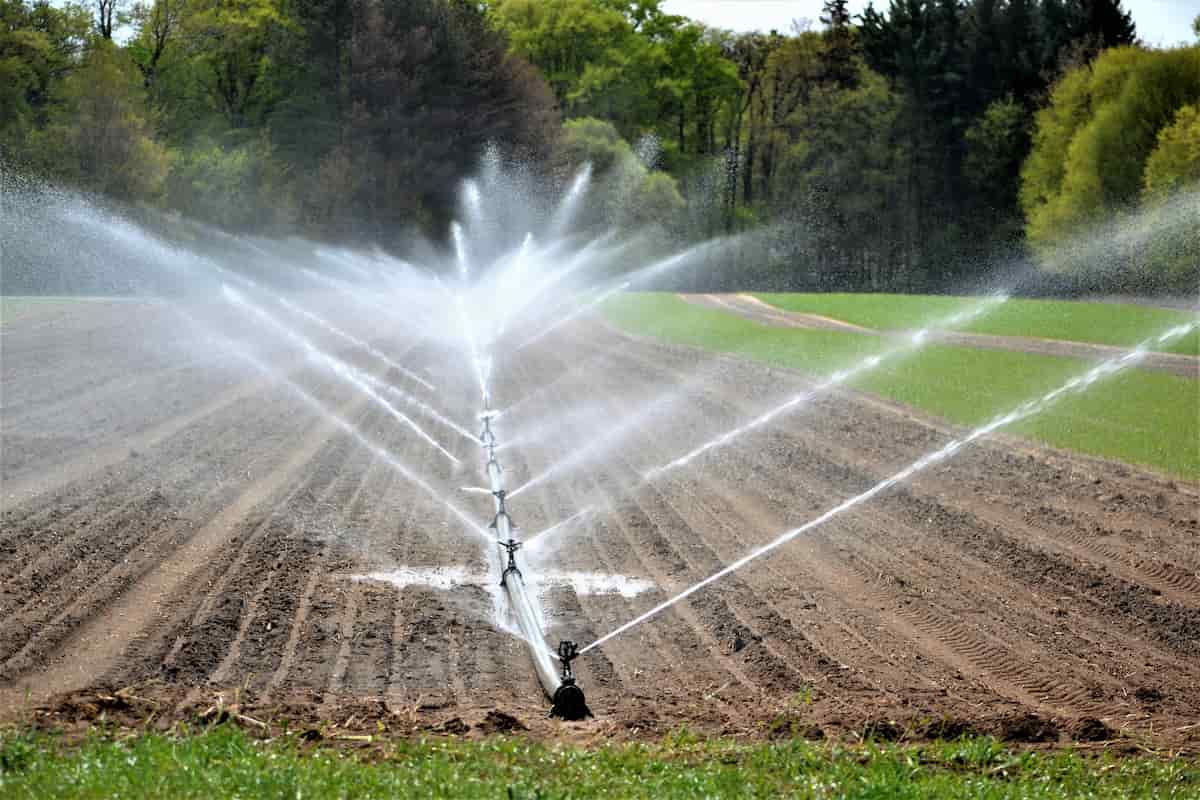Top 10 Benefits of Sprinkler Irrigation in Horticulture