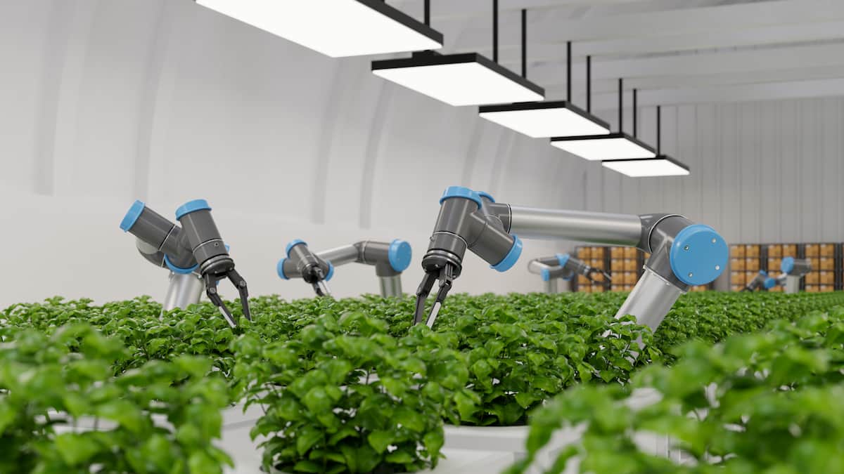 Automation and Robotics in Greenhouse Farming