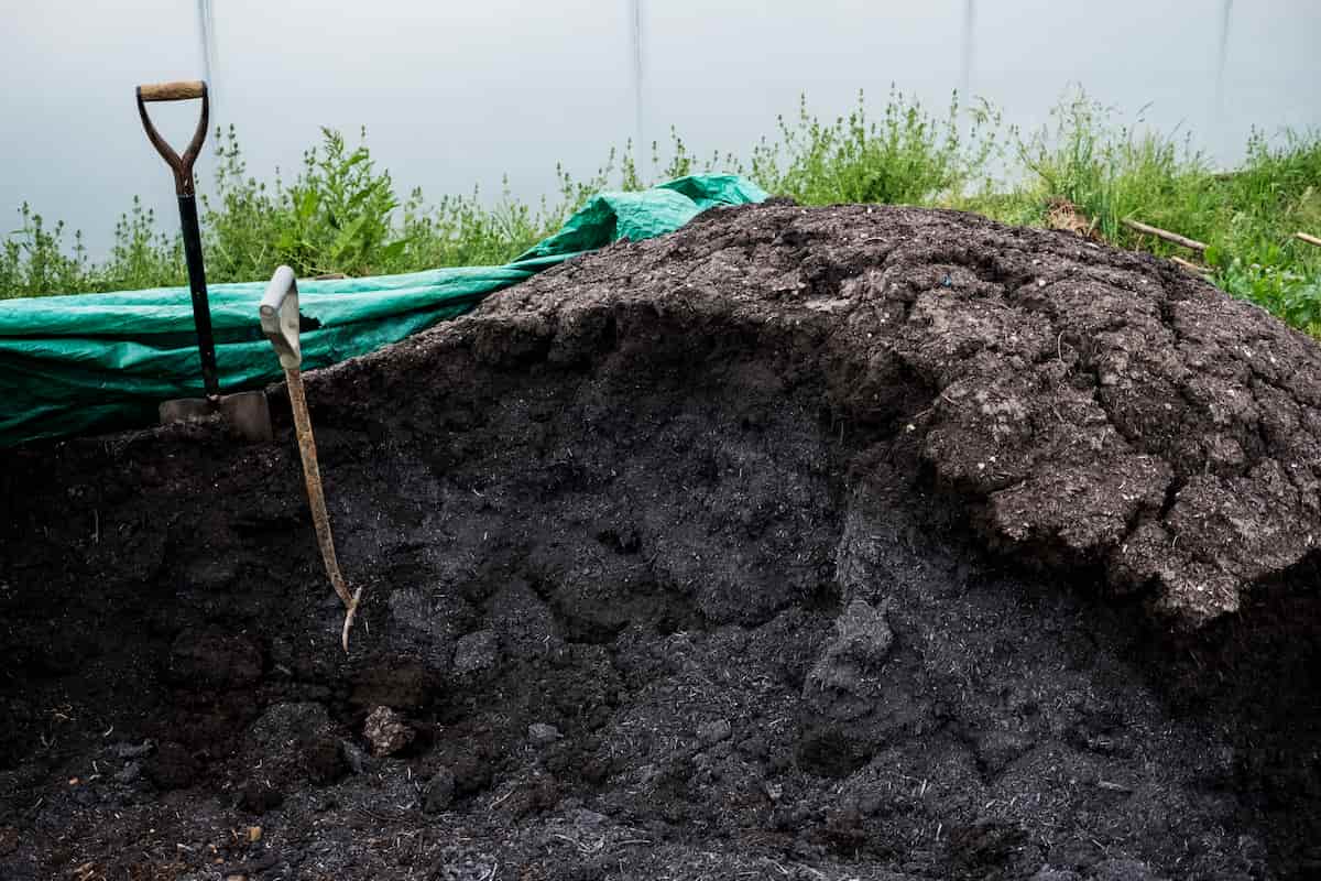 Benefits of Sheep Manure Fertilizer in Agriculture