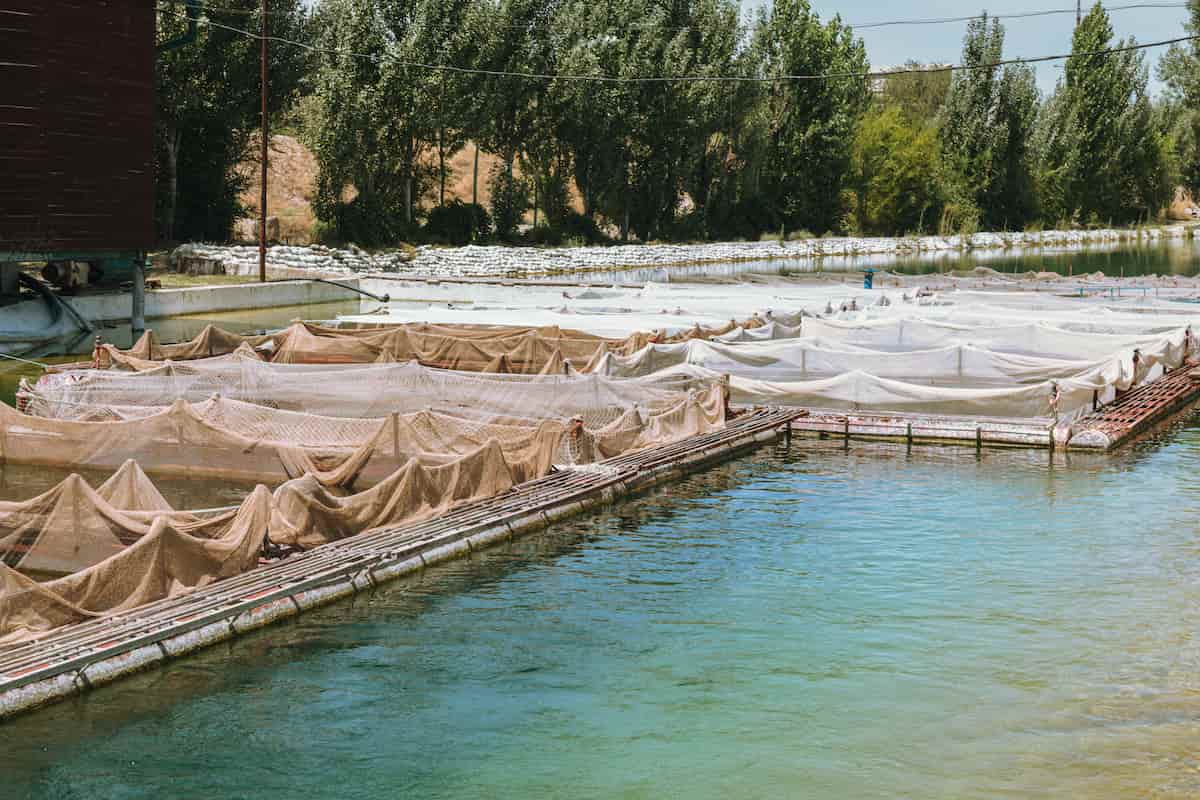 Cages for Fish Farming