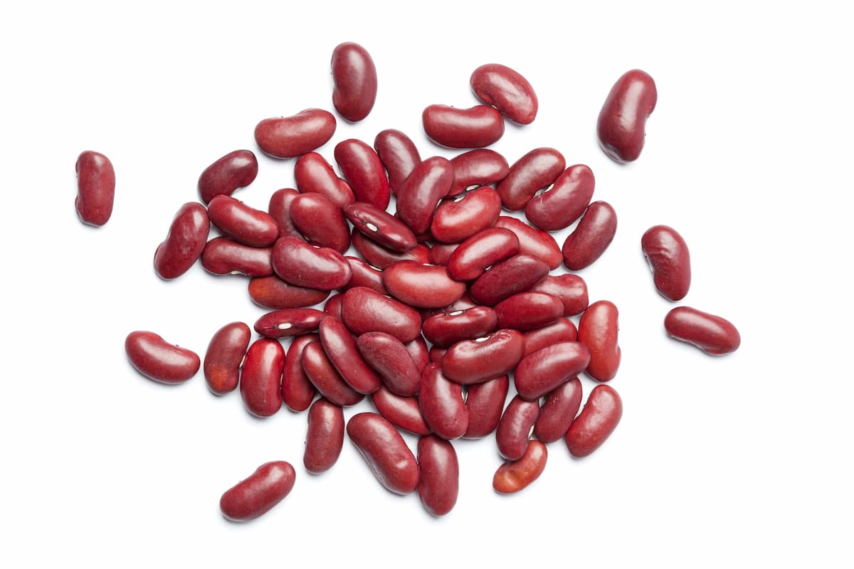 How to Increase Female Flowers in Kidney Beans
