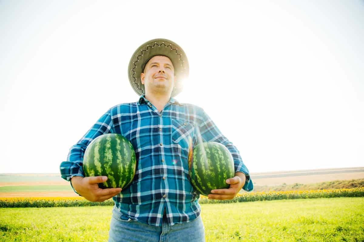 How to Start Watermelon Farming in California2
