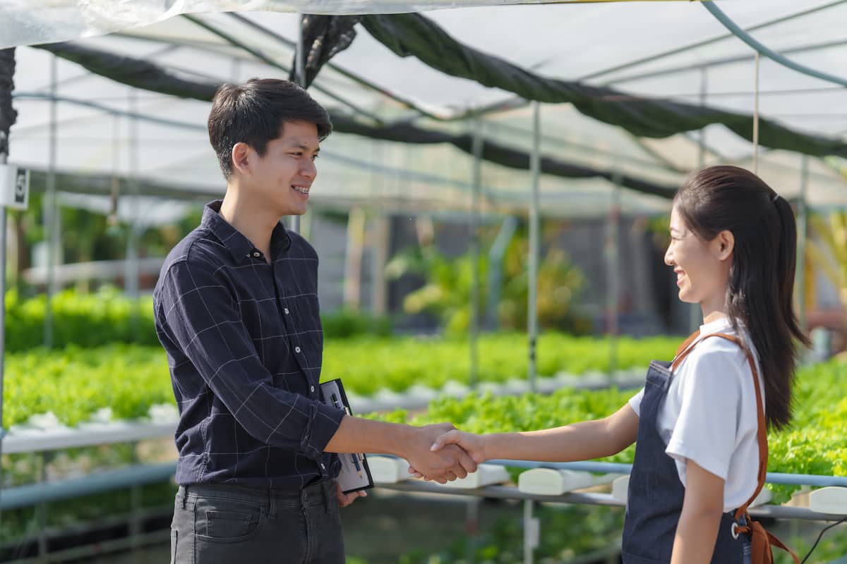 Hydroponic Celery Farming in a Greenhouse