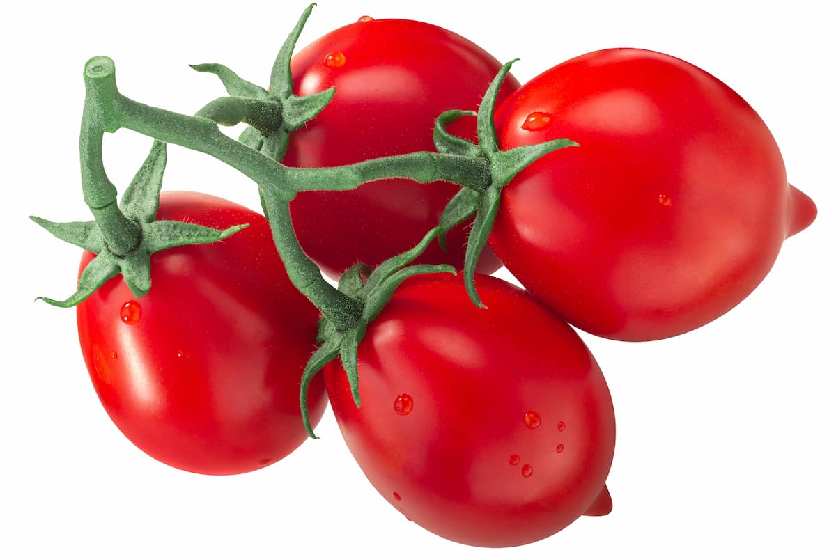 Piennolo Tomatoes