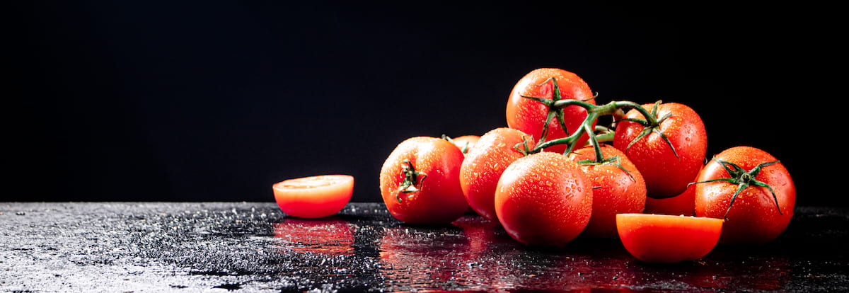 Tomato Farming in Turkey