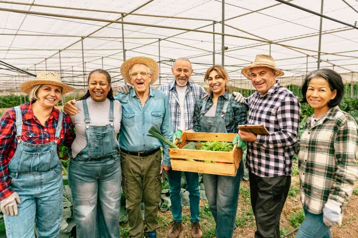Greenhouse Farm Management