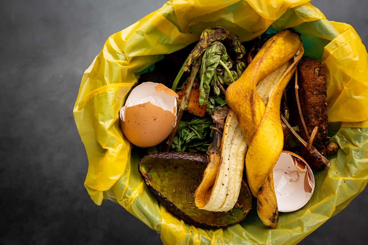 Organic Food Waste
