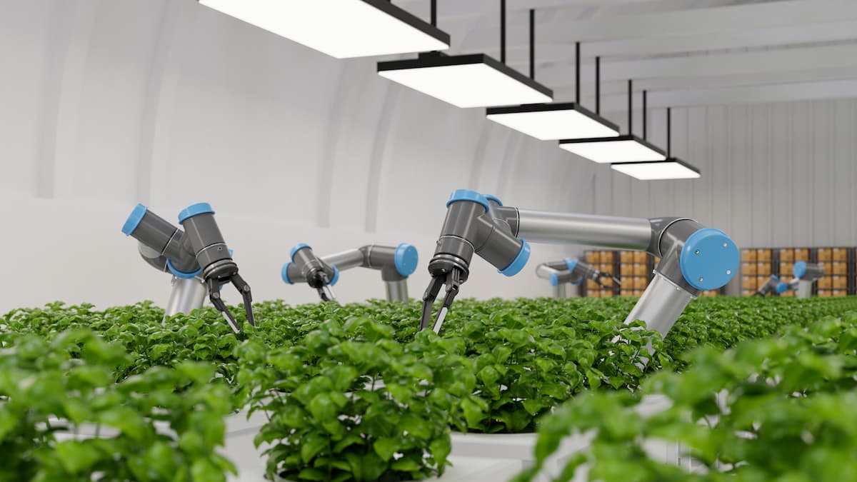 How Automation Will Transform Farming
