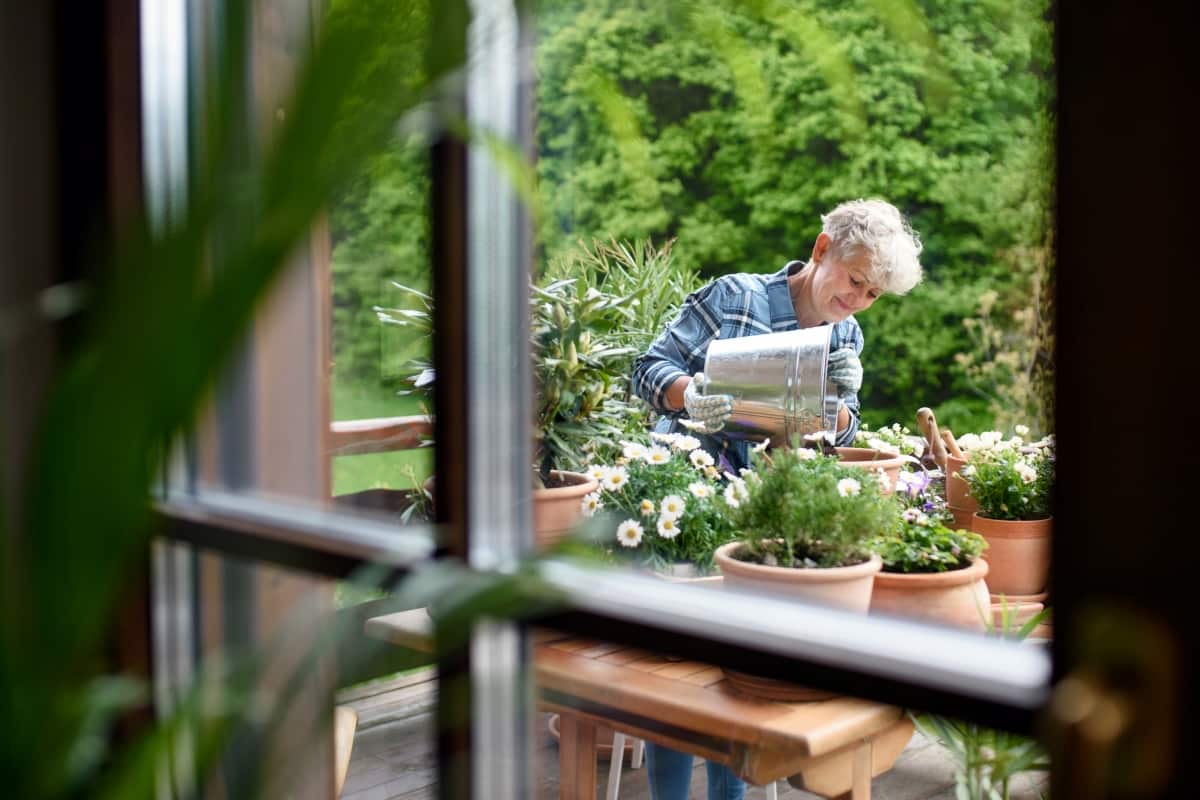 How to Setup a Balcony Herb Garden from Scratch