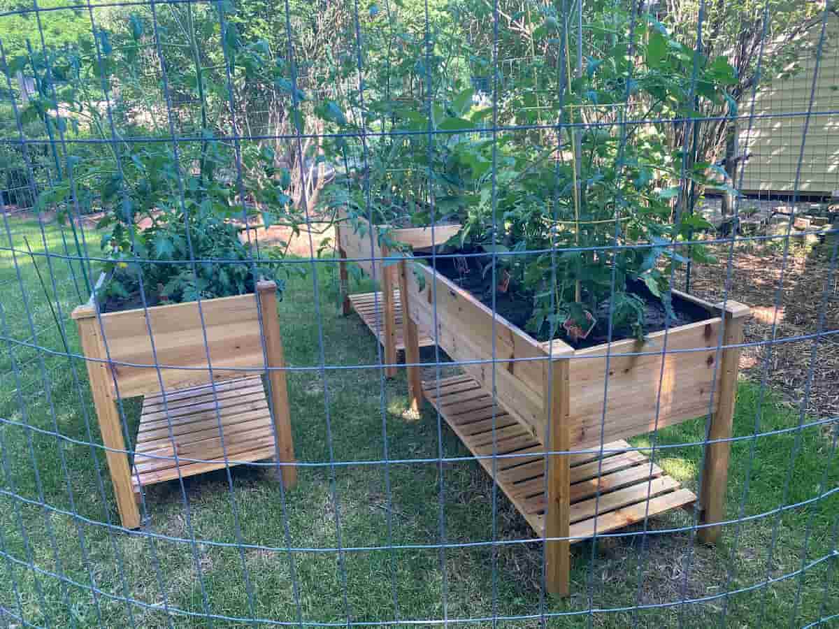 How to Start Backyard Raised Bed Garden in the USA
