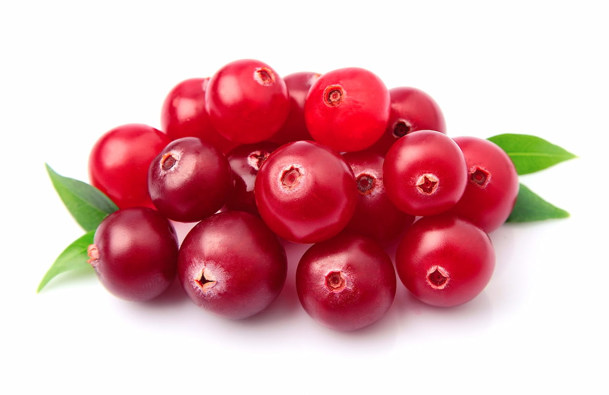 How to Start Cranberry Farming in Wisconsin