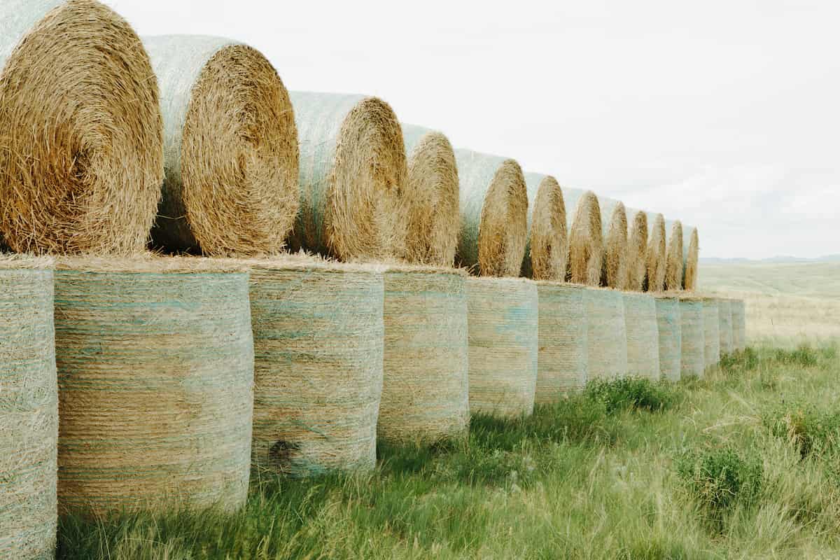 Wrapped Round Stacked Hay Bales