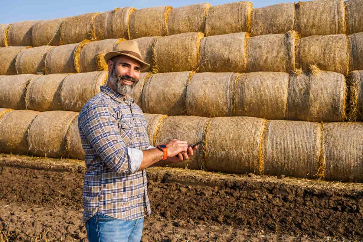 How to Start Hay and Haylage Farming in Wisconsin