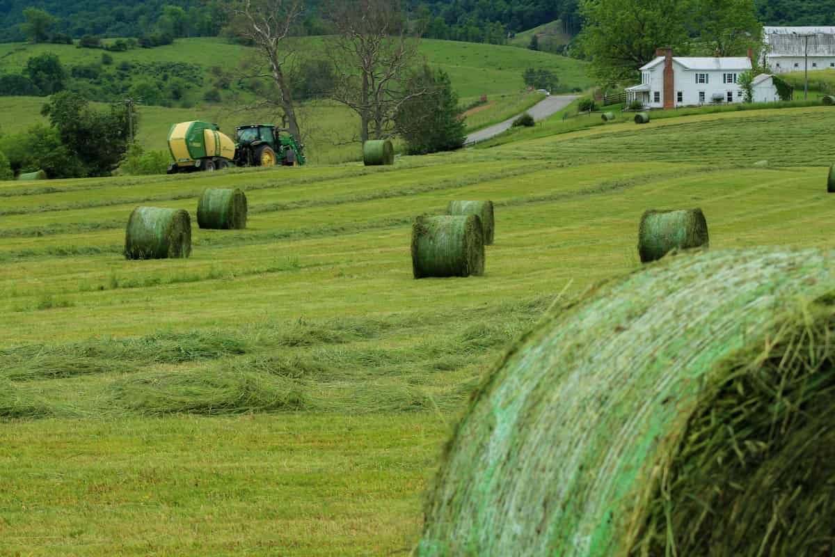 Hay Farming
