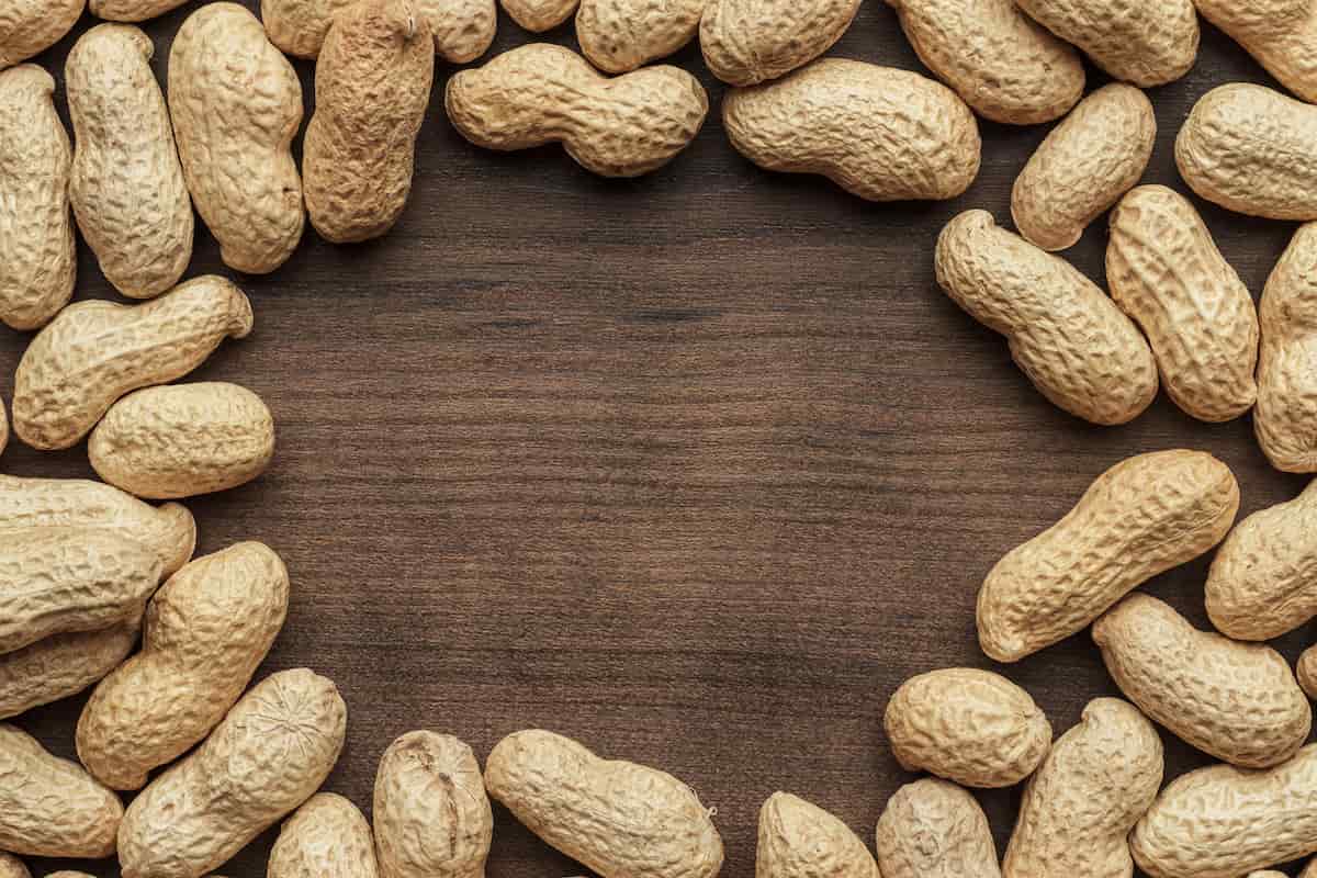 How to Start Peanuts Farming in North Carolina
