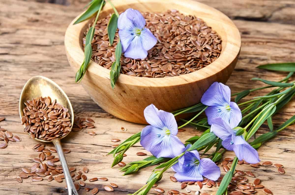 Linseed/Flaxseed Cultivation Practices