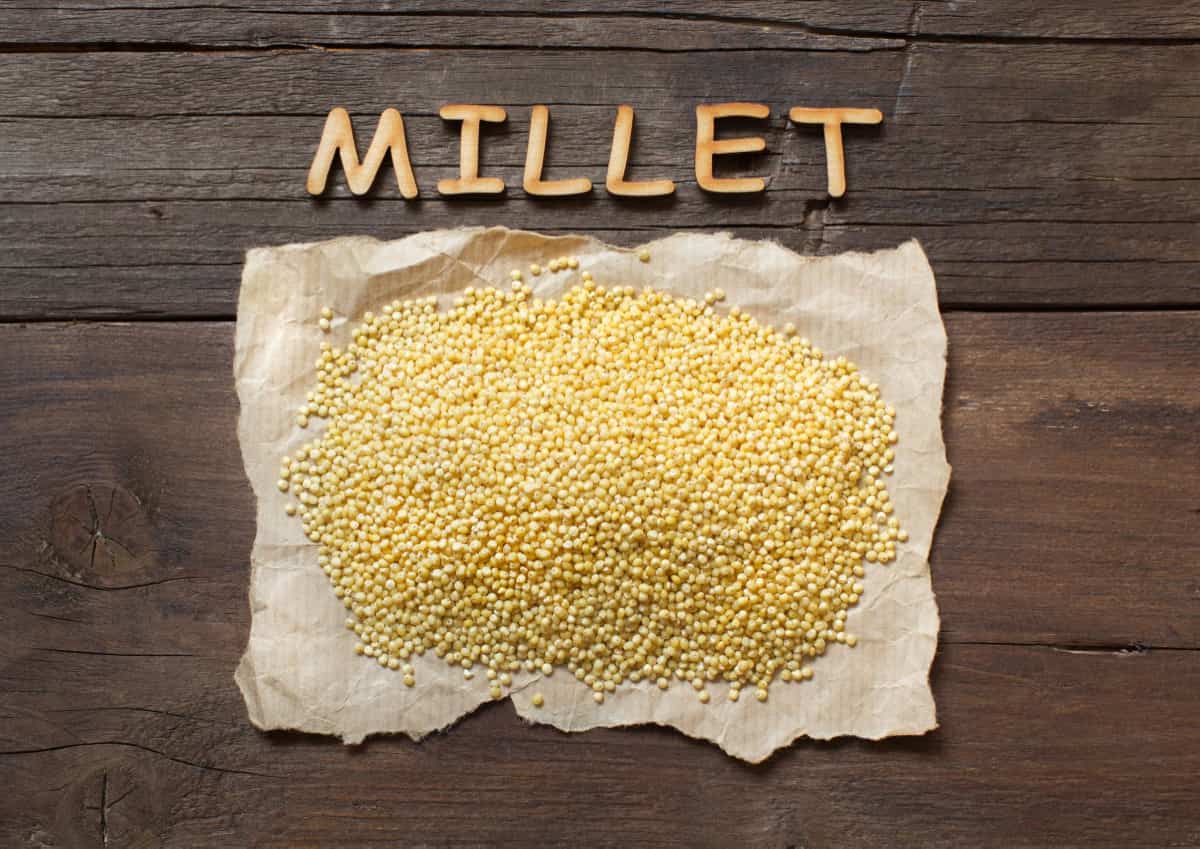 Millet Manuring and Fertilization