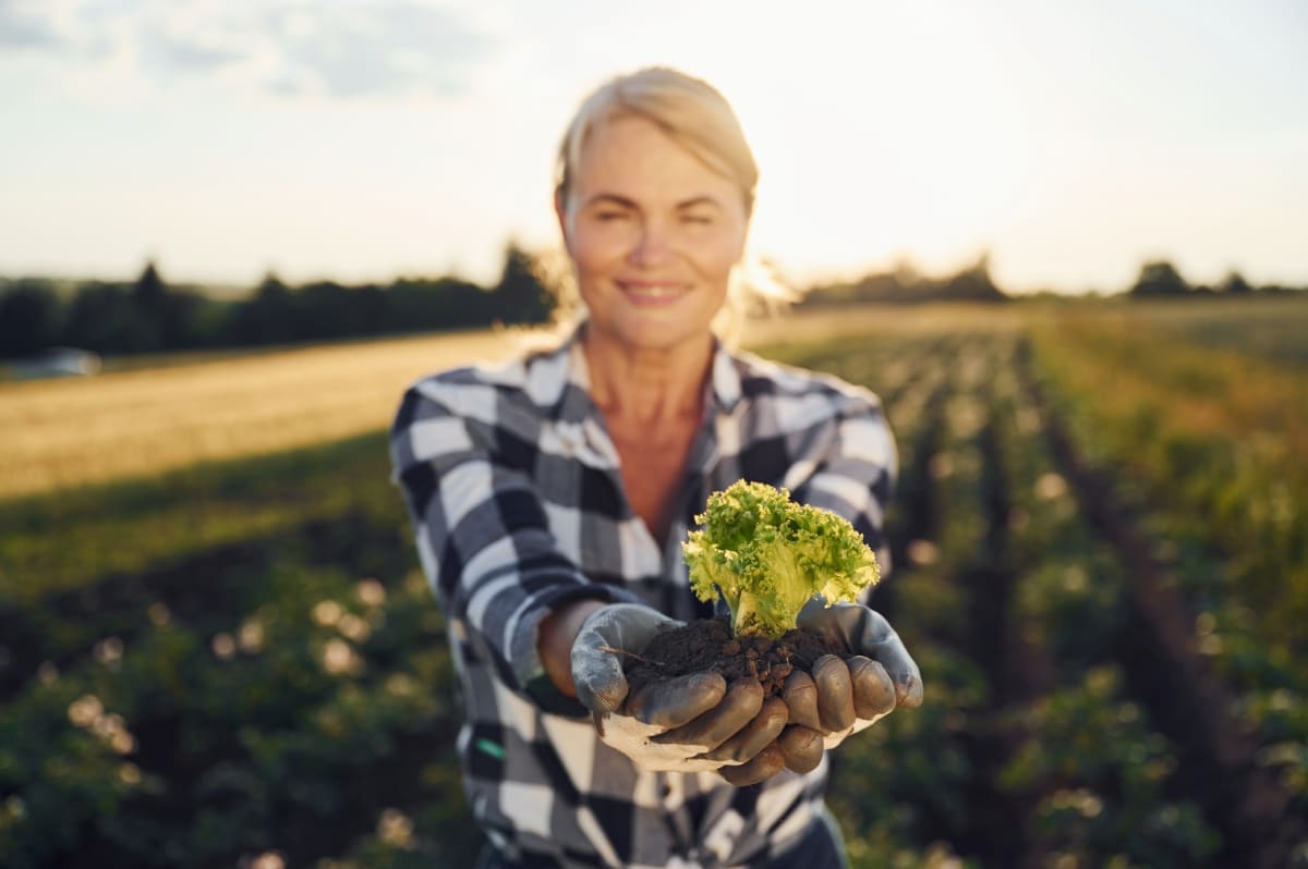 Organic Farming Business Plan in New Zealand