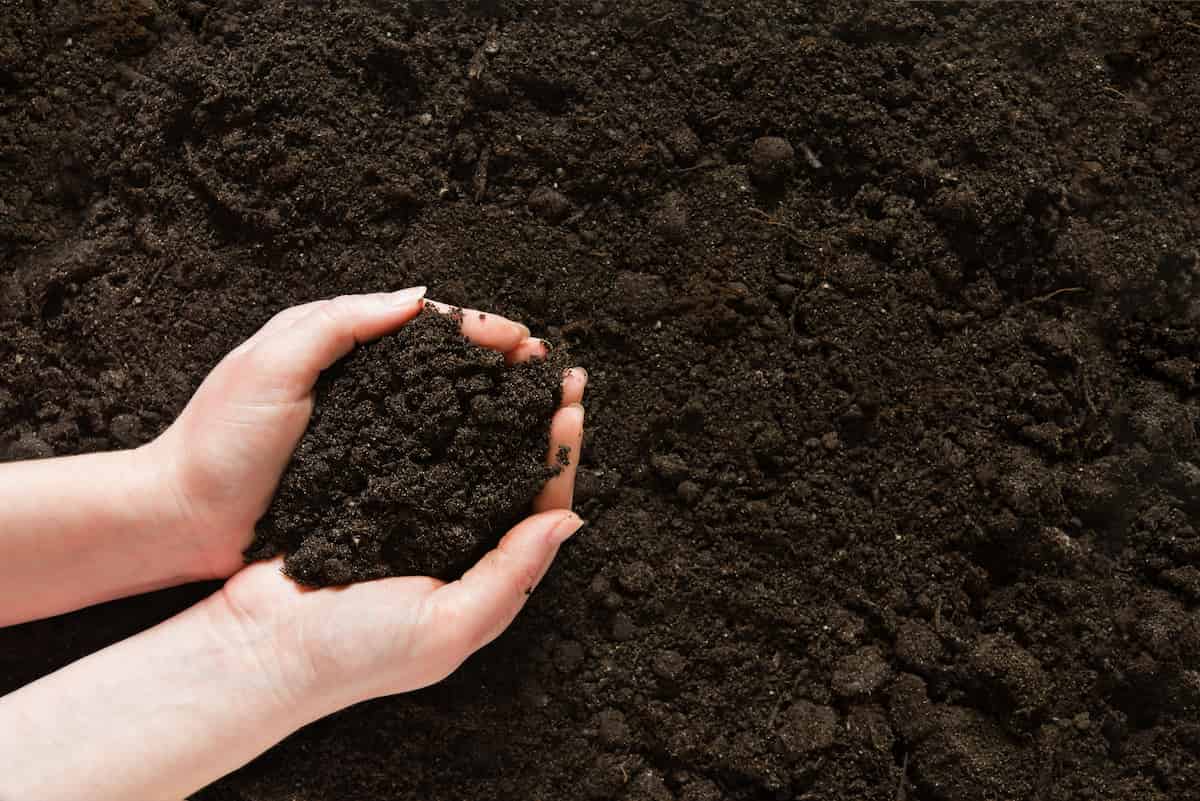 Soil Management for Organic Farming
