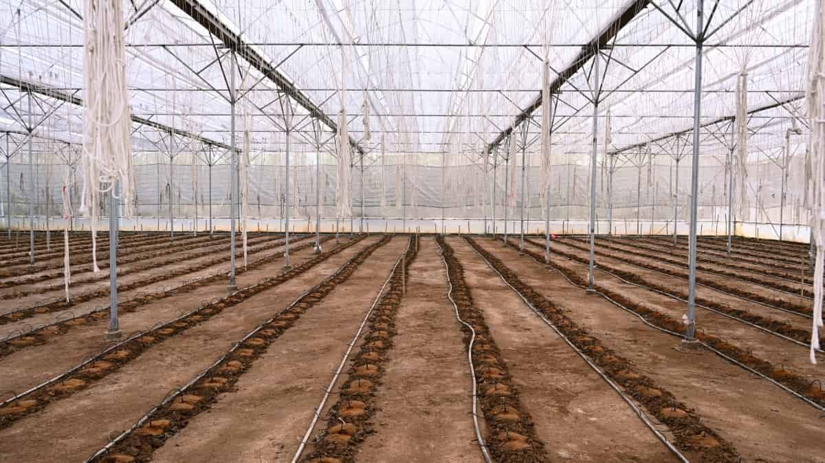 1000 Square Foot Greenhouse
