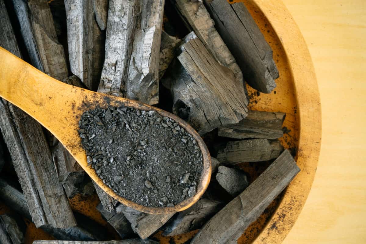 15 Benefits of Charcoal for Garden Plants