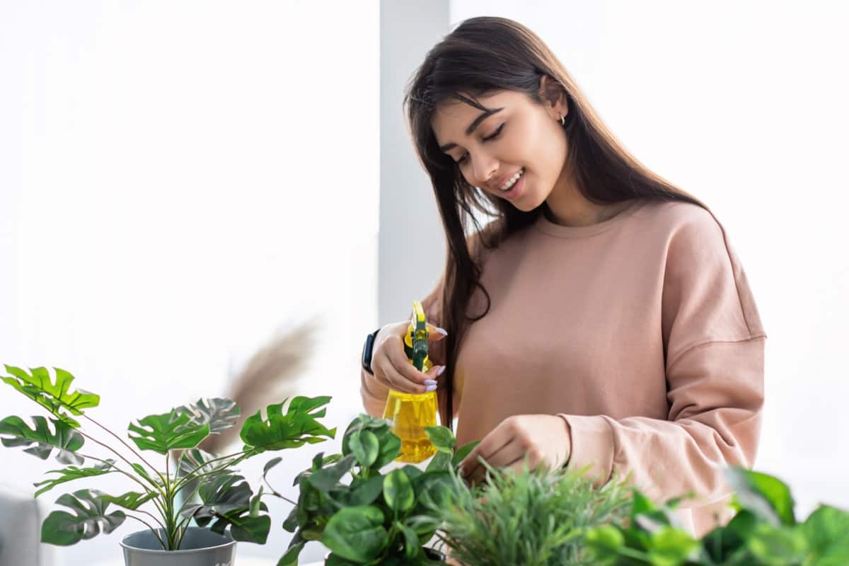 Benefits of Fulvic Acid for Plants
