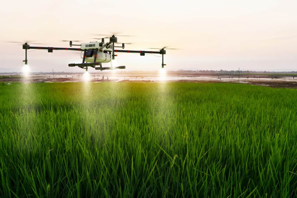 Agriculture Drone Flying on Rice Farm